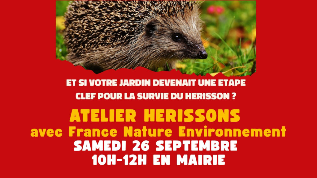 🦔 Accueillez le Hérisson dans votre jardin !