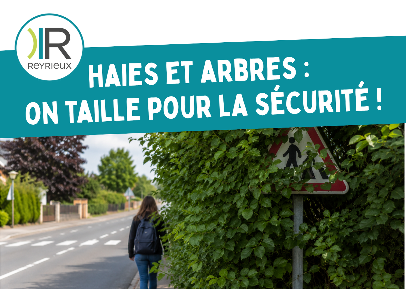 Haies et arbres : on taille pour la sécurité !